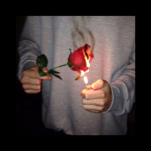 欧美丰满肥臀大波ass
