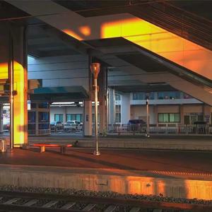 欧美丰满肥臀大波ass
